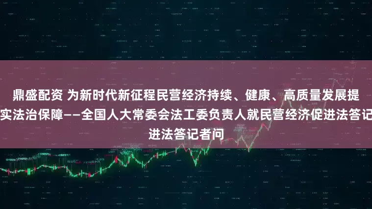 鼎盛配资 为新时代新征程民营经济持续、健康、高质量发展提供坚实法治保障——全国人大常委会法工委负责人就民营经济促进法答记者问