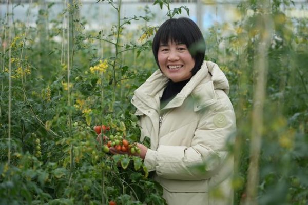 维度配资 “先签单后种地，心里有底手中有钱”