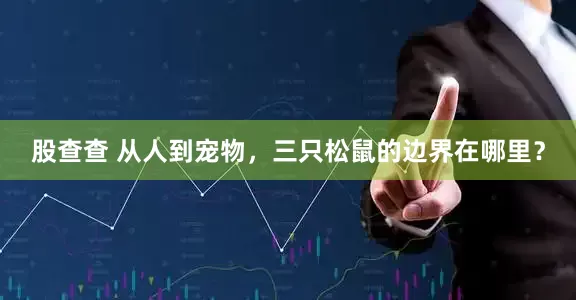 股查查 从人到宠物，三只松鼠的边界在哪里？